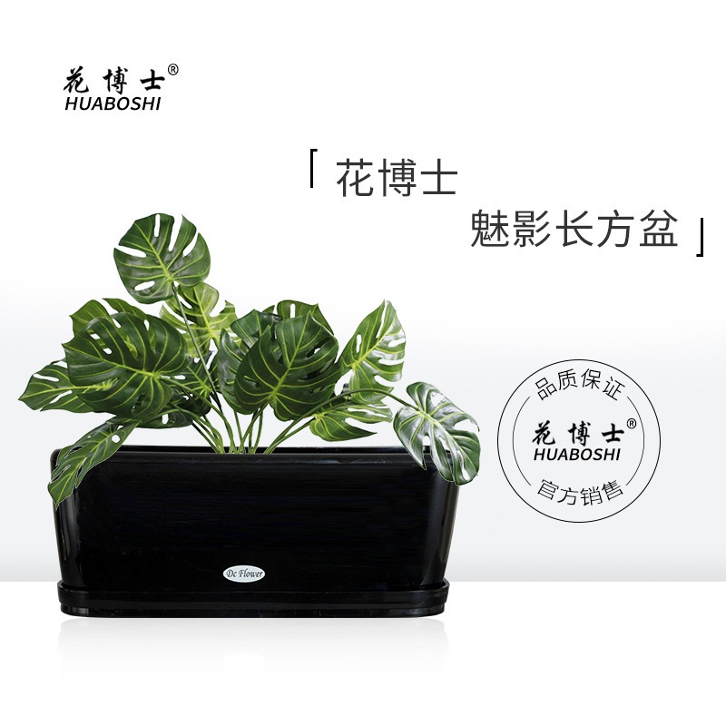 Dr. Flowers bán trực tiếp cho Mirage Spectrum với một nhà máy làm vườn dày và bền vững.
