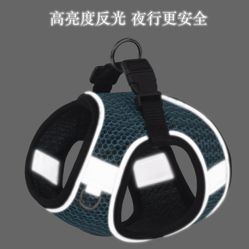 Con mắt mới của con chó bị bệnh tim.