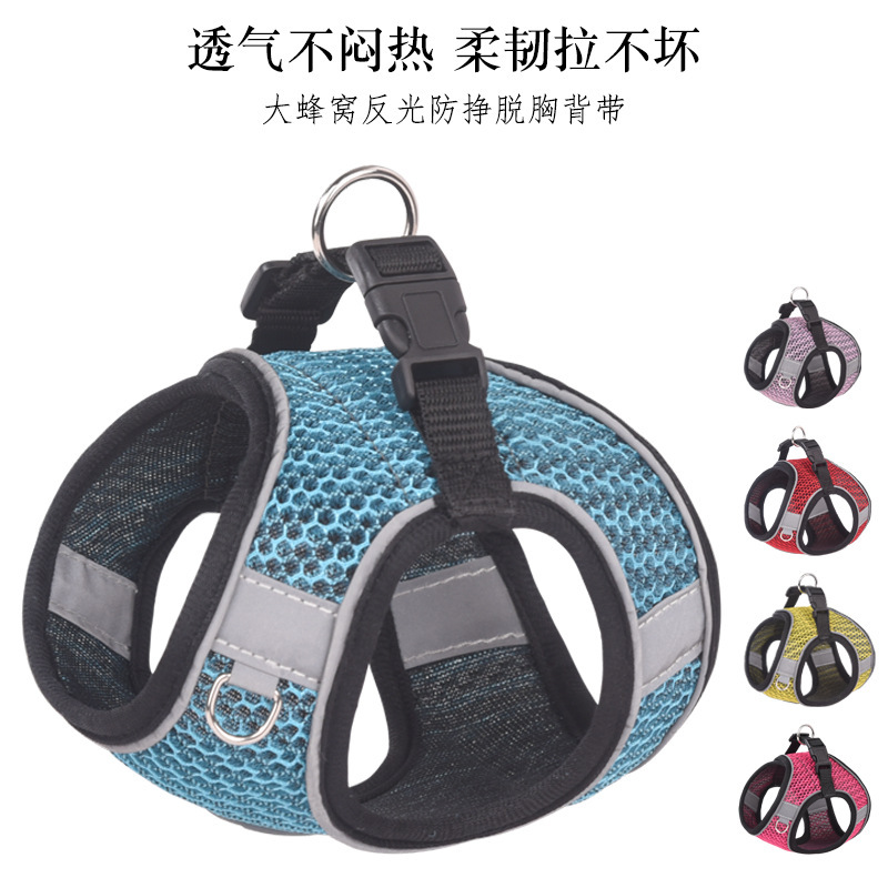 Con mắt mới của con chó bị bệnh tim.