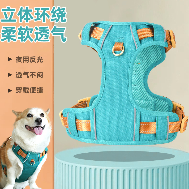 Đi-đến-cho-đến-cho-đến-để-để-để-để-để-để-để-đi-đến-đi-đến-đi-đến-đi-đi-đi-đi-đi-đi-đi-đến-o-o-o-co-o-co-co-o.