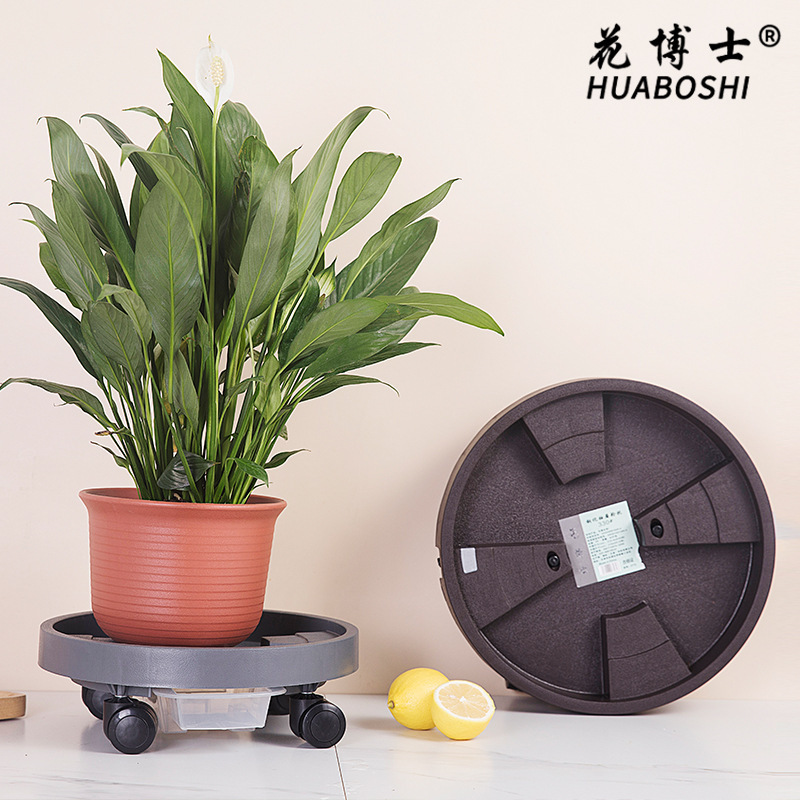 Tiến sĩ Hana đang trực tiếp đến ngăn kéo bán đĩa bánh.