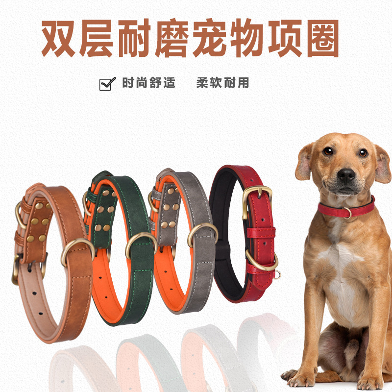 Những hình chạm khắc mới của Amazon sẽ không rời khỏi chiếc nhẫn của vật nuôi.
