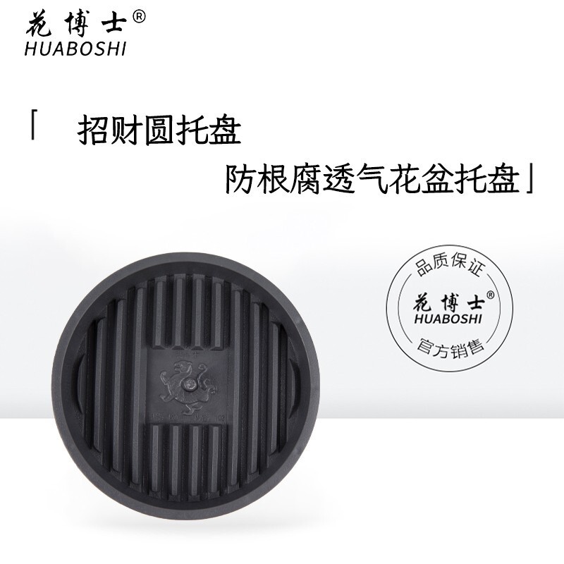 Đĩa bánh của Tiến sĩ Hana dày đặc.
