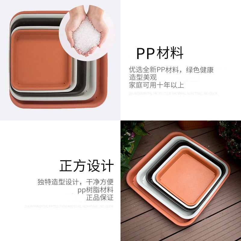 Tiến sĩ Hana bán trực tiếp một cái đĩa có kích cỡ bằng nhiều đĩa nhỏ dưới đĩa.