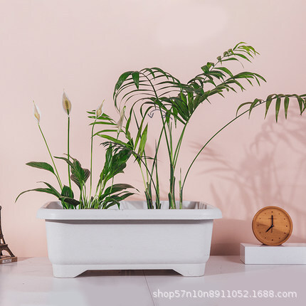 Vật liệu PP có thể phân chia đa chiều của Tiến sĩ Hana làm sâu hơn và làm tăng chậu hoa dài.