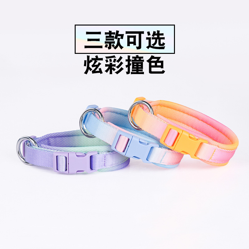 Con chó lắc cổ, Teddy Corky, đi bộ sandwich cổ của con chó với một lưới gas.