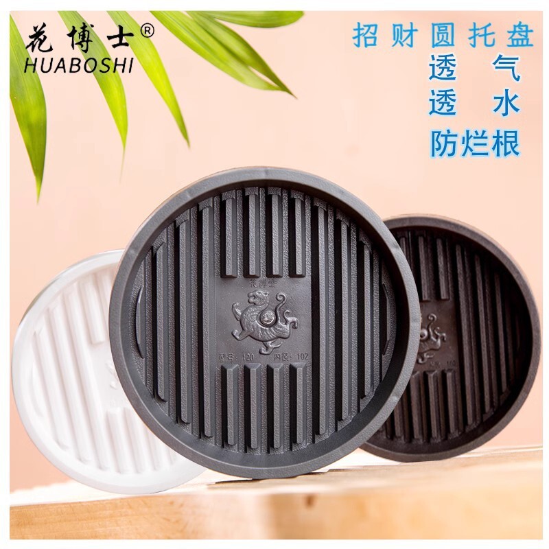 Đĩa bánh của Tiến sĩ Hana dày đặc.