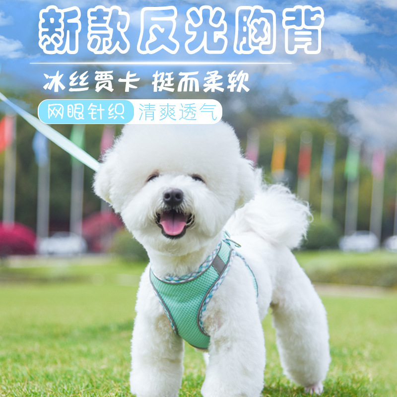 Một con chó Amazon mới bị xe tải đến máy bay đến sân bay đến sân bay, thắt lưng phản xạ cỡ nhỏ.