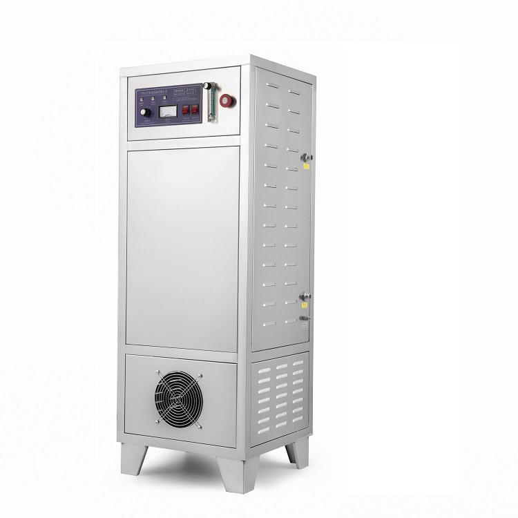 Oxygen-based ozone generator, 60 g-barrel, water treatment ozone machine