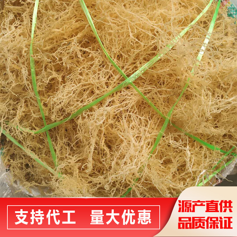 Thức ăn nhanh, tảo tảo tảo tảo, bó hoa hải sản lạ.