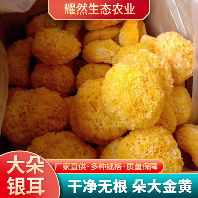 Tai bạc, 100g hàng khô, những túi nhỏ bằng gỗ trắng, những đôi tai bạc ăn được.