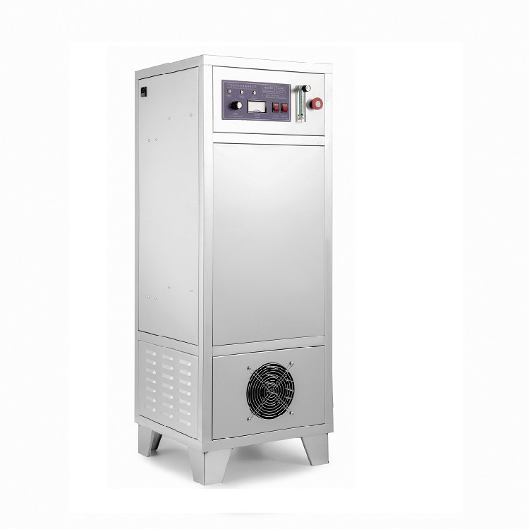 Oxygen-based ozone generator, 60 g-barrel, water treatment ozone machine