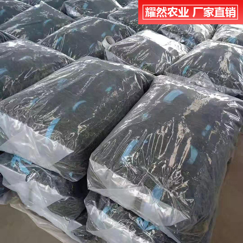 Tôi cá là anh có một cái khô, khô, khô, khô, khô, khô, khô, khô, khô, khô, khô, khô, khô, khô, khô, khô, khô, khô, khô, khô, khô, khô, khô, khô, khô, khô, khô, khô, khô, khô, khô, khô, khô, khô, khô, khô, khô, khô, khô, khô, khô, khô, khô, khô, khô, khô, khô, khô, khô, khô, khô, khô, khô, khô, khô, khô, khô, khô, khô, khô, khô, khô, khô, khô, khô, khô, khô, khô, khô, khô, khô, khô, khô, khô, khô, khô, khô, khô, khô, không hạn, khô, khô, khô hạn, khô hạn, khô hạn, khô hạn, khô hạn, khô hạn, khô hạn.