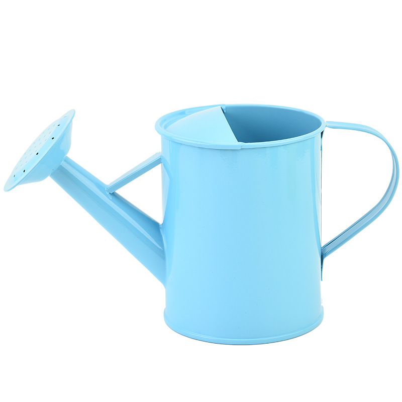 Xương chậu bằng sắt 600mL chứa nước cho trẻ em với vườn phun nước tươi