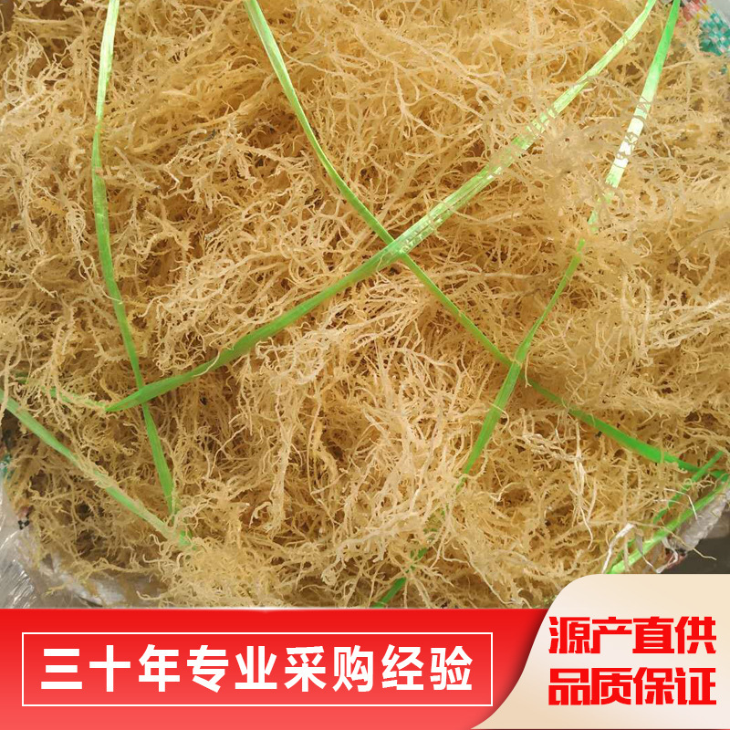 Nó được làm ra tùy chỉnh, và nó sản xuất ra một lượng lớn nhung nhung.