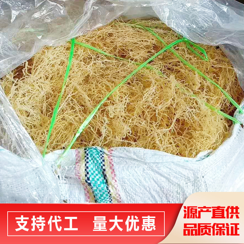 Những con cóc tươi và khô, những vết nứt, vết nứt.