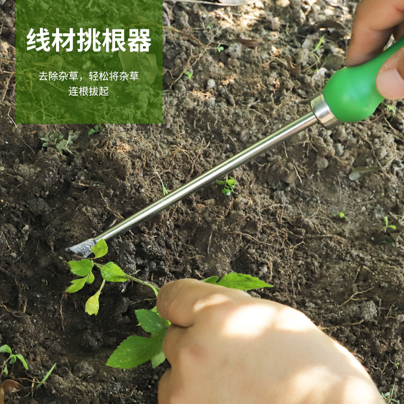 Một công cụ làm vườn ngoài trời cho việc làm vườn thép không rỉ, và một người làm vườn ngoài trời cho việc nâng cao hoa và người đi đường, nhà đặt với xẻng sắc nét.