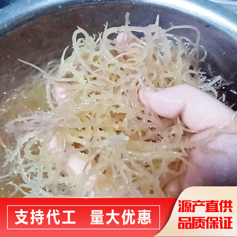 Nhanh lên, hải sản.