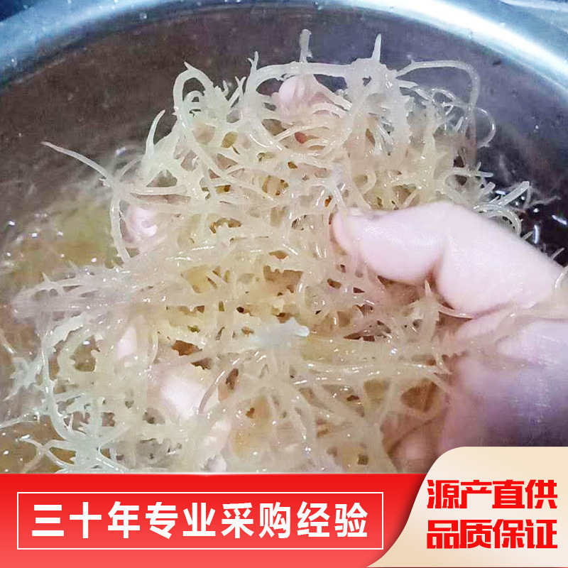 건조한 우단, 작은 포장, accelerants, 산호 허브, seaweed.