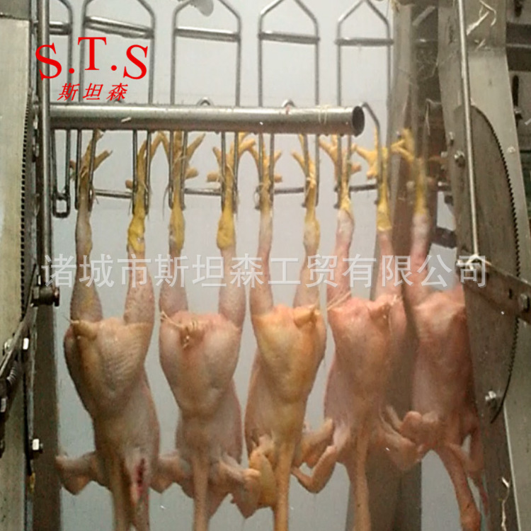 Poultry slaughters waterliners, chicken duck geese slaughters hair removal equipment, small and medium-sized poultry slaughterers H.