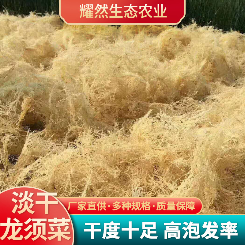 Những con cóc tươi và khô, những vết nứt, vết nứt.