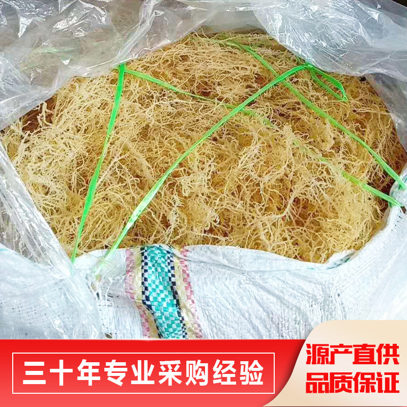 Nó được làm ra tùy chỉnh, và nó sản xuất ra một lượng lớn nhung nhung.