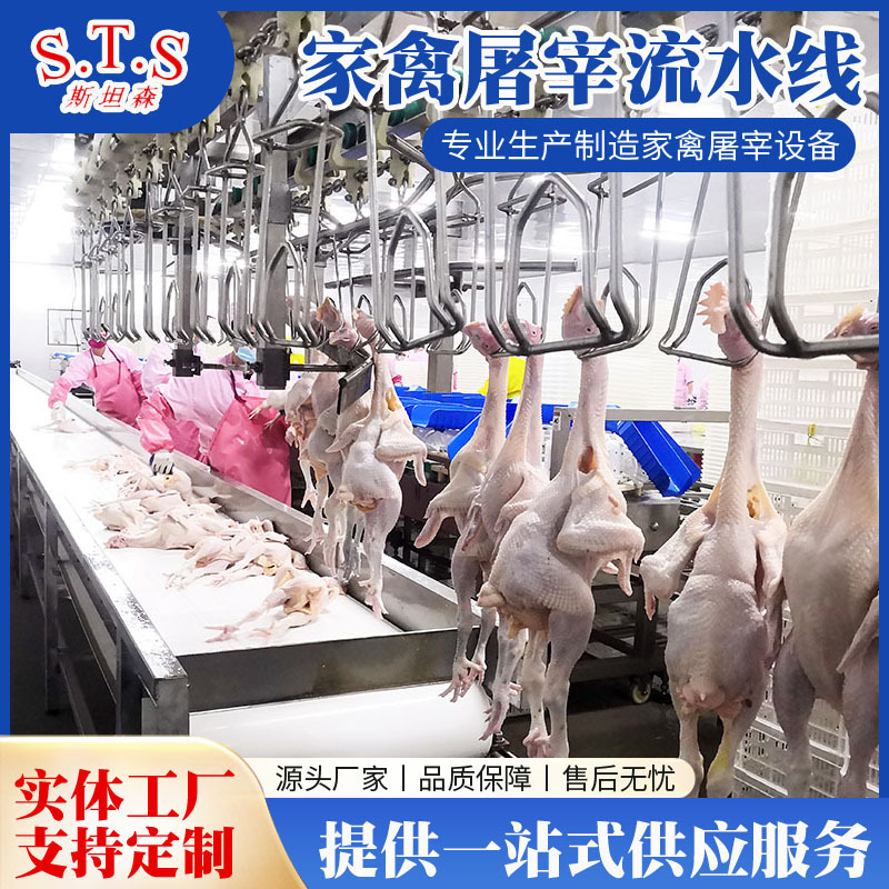 The H-Dick Duck Slaughterer has a good impact on poultry slaughtering equipment.