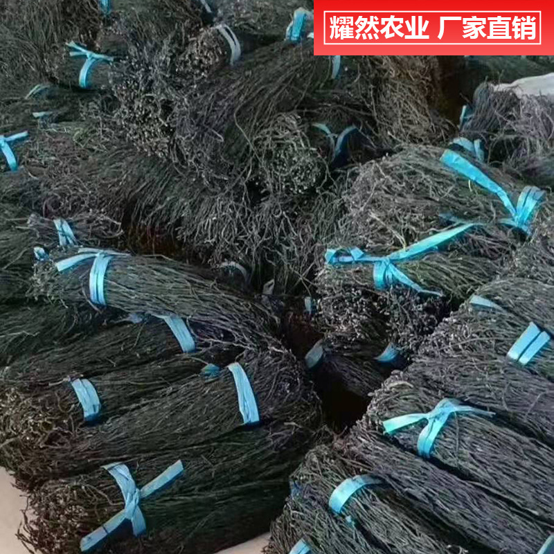 Tôi cá là anh có một cái khô, khô, khô, khô, khô, khô, khô, khô, khô, khô, khô, khô, khô, khô, khô, khô, khô, khô, khô, khô, khô, khô, khô, khô, khô, khô, khô, khô, khô, khô, khô, khô, khô, khô, khô, khô, khô, khô, khô, khô, khô, khô, khô, khô, khô, khô, khô, khô, khô, khô, khô, khô, khô, khô, khô, khô, khô, khô, khô, khô, khô, khô, khô, khô, khô, khô, khô, khô, khô, khô, khô, khô, khô, khô, khô, khô, khô, khô, khô, không hạn, khô, khô, khô hạn, khô hạn, khô hạn, khô hạn, khô hạn, khô hạn, khô hạn.