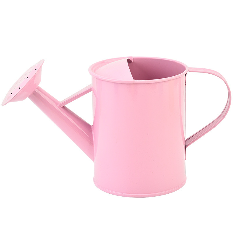 Xương chậu bằng sắt 600mL chứa nước cho trẻ em với vườn phun nước tươi