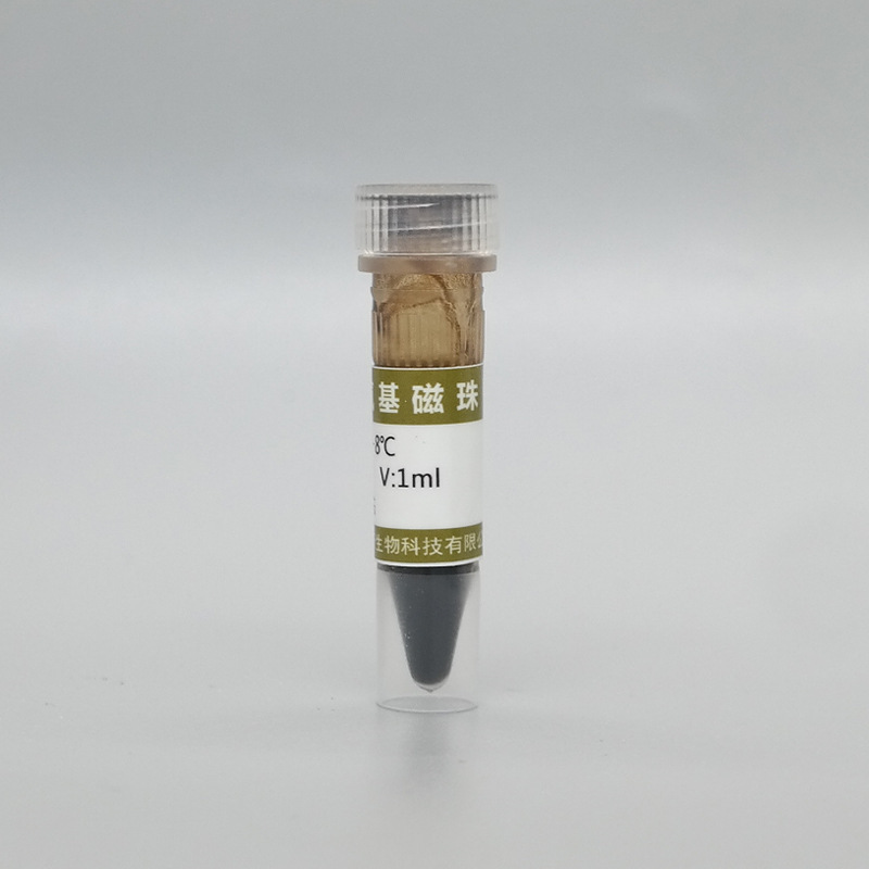 Sự sống của Ida, nam châm epoxy, upoxy từ nanoparticles, tách protein ra.