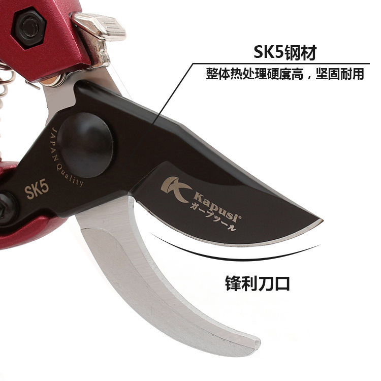 Kapusi Japanese shears, horticultural shears, screechs, screechs, screechs.