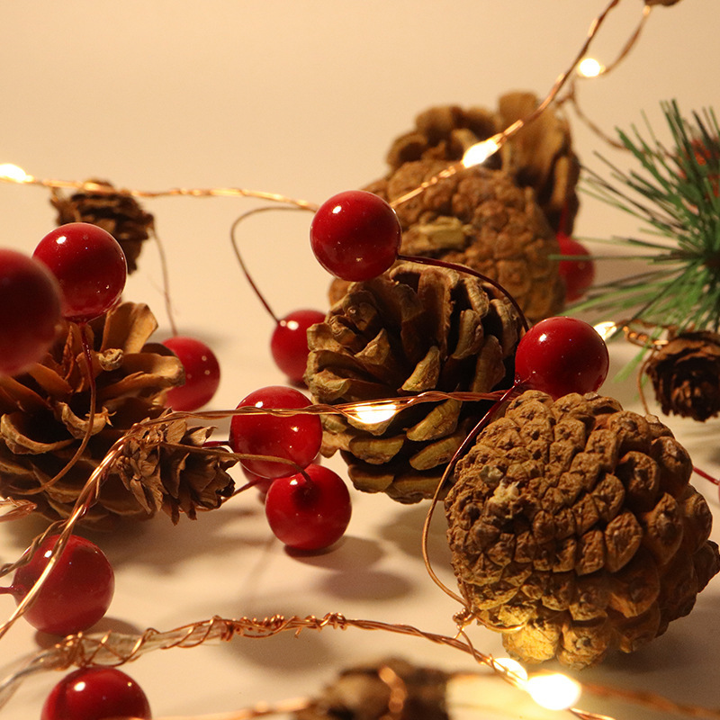 LED pine nuts, light-lined copper-lined lights, light-lighted Christmas courtyard decorations.