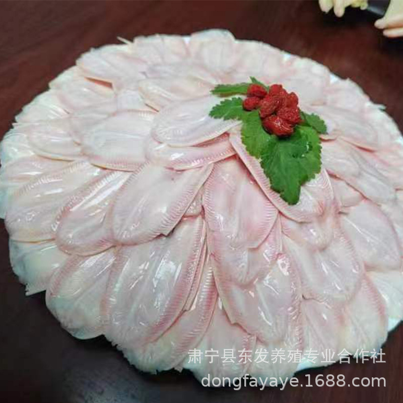 동쪽 농장 식물에 신선한 찬 오리 낙원.