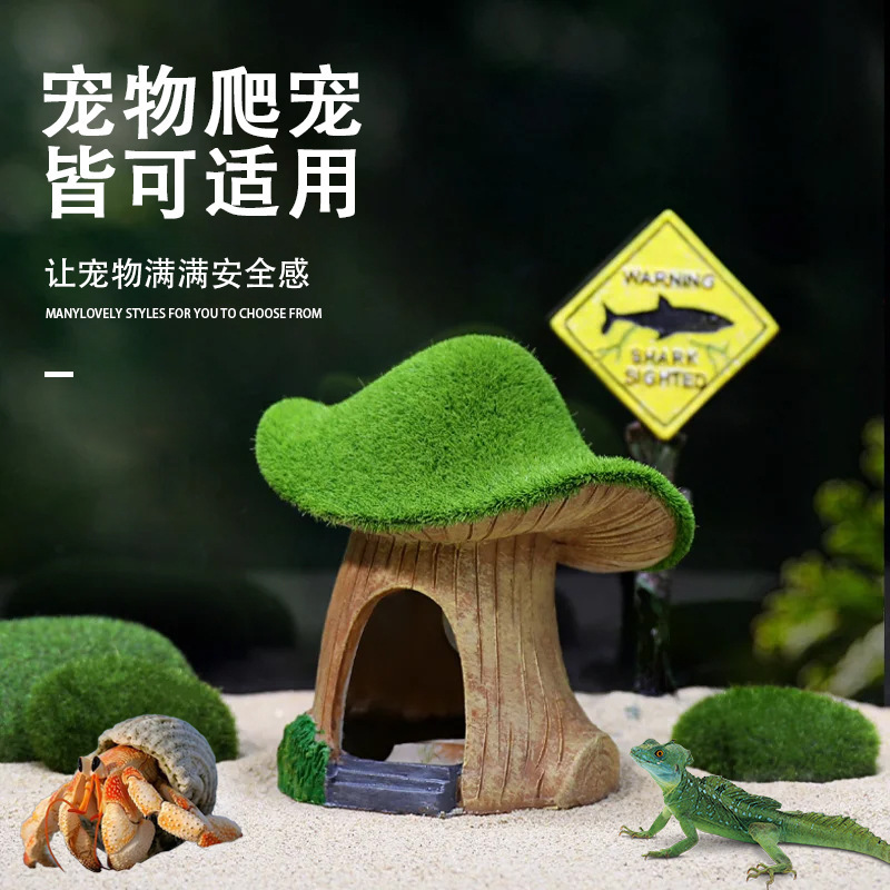Bò ra xa khỏi nhà những hồ chứa nhựa để quan sát cái hộp và trang trí nấm từ rêu nhà.