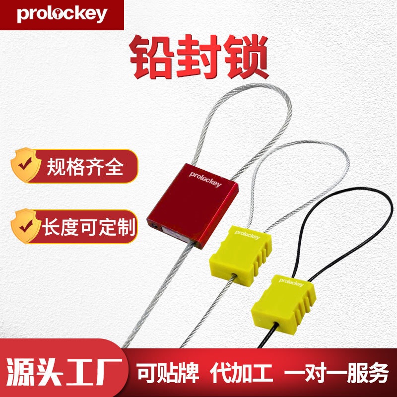 Prolocky/Loco Industrial Safety Lead Block One-time Locked Steel Wire Logistics Container CS