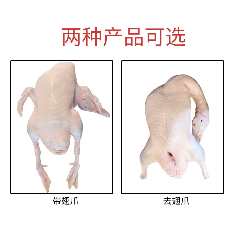 공장의 도매 호텔 레스토랑은 오리 번닝 원료를 사용합니다.