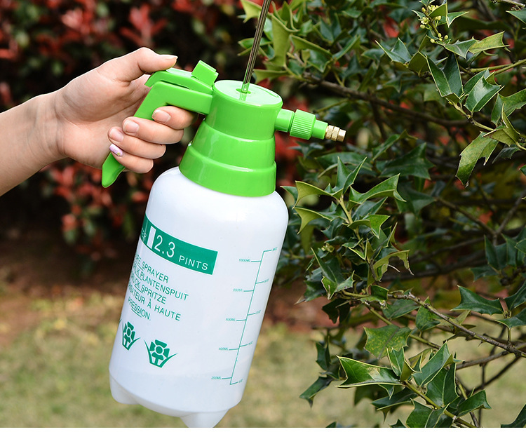 Nhà máy trực tiếp bán dụng cụ làm vườn tại nhà, máy phun áp suất áp suất 1000 ml