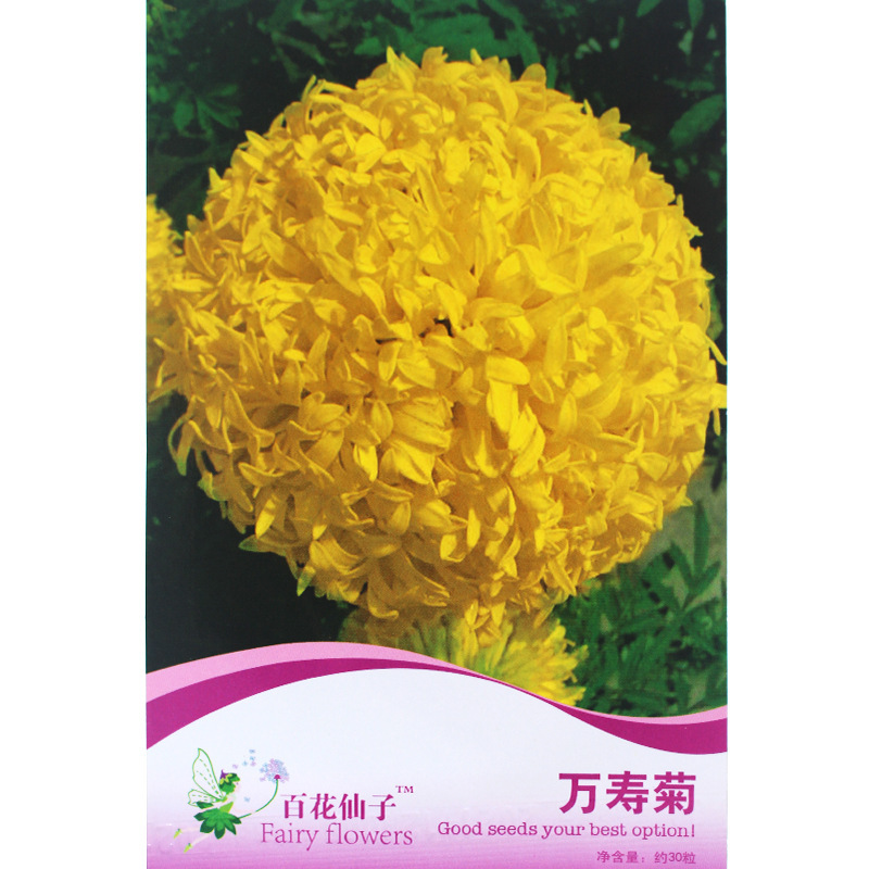 菊花种子万寿菊种子花种子花籽花卉种子阳台盆栽蔬菜种子批发菜种