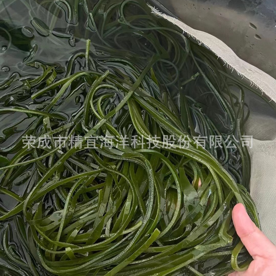 Bánh quy hải sản giàu muối, hải sản tươi, hải sản không cần khô, bánh bao.