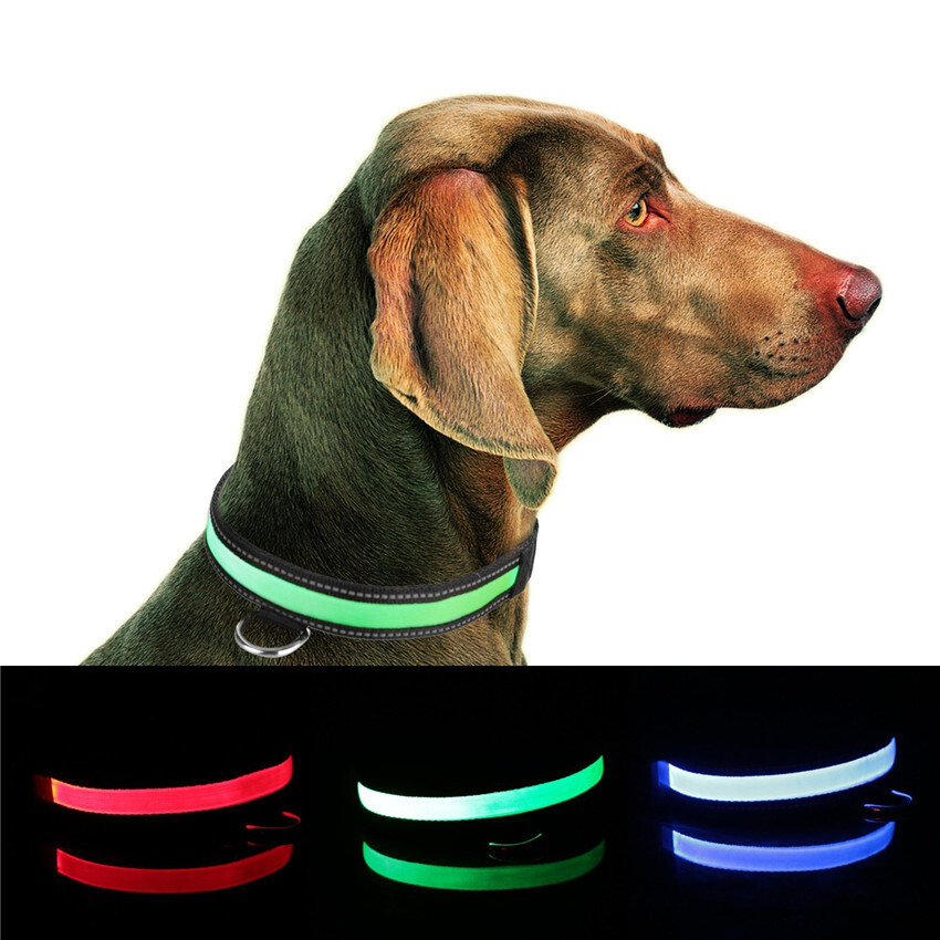 Dây xích phát sáng cho chó, vòng cổ chó phản quang, đèn LED, sạc năng lượng mặt trời USB+