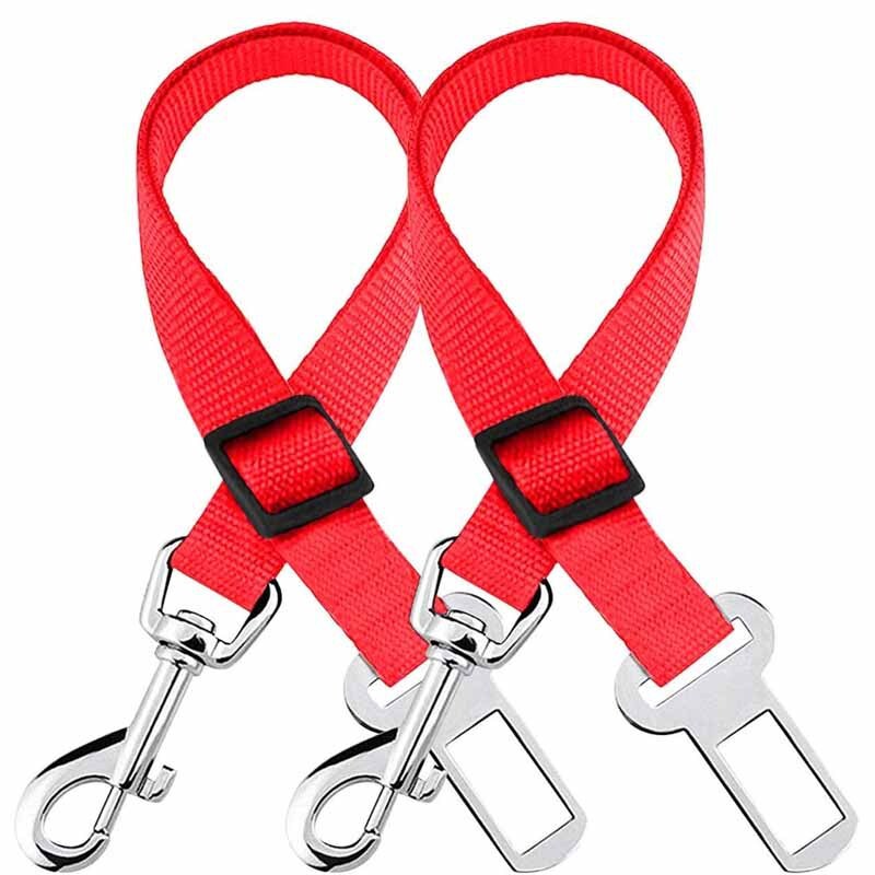Chiếc xe chở chó chạy bằng dây xích.