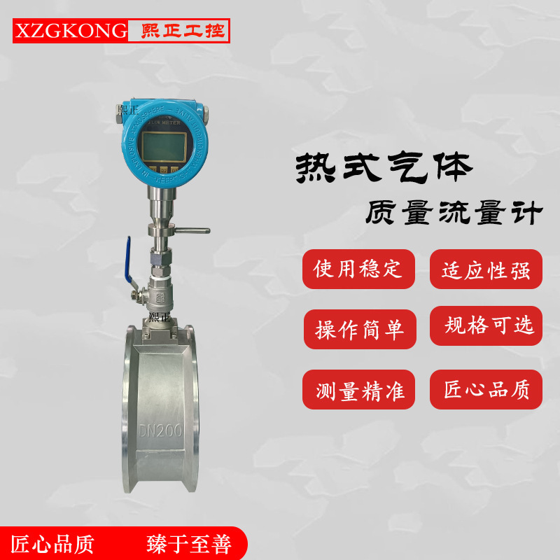 Pipeline gas measurement-air flow meter-inserted flow meter smart thermal gas mass meter