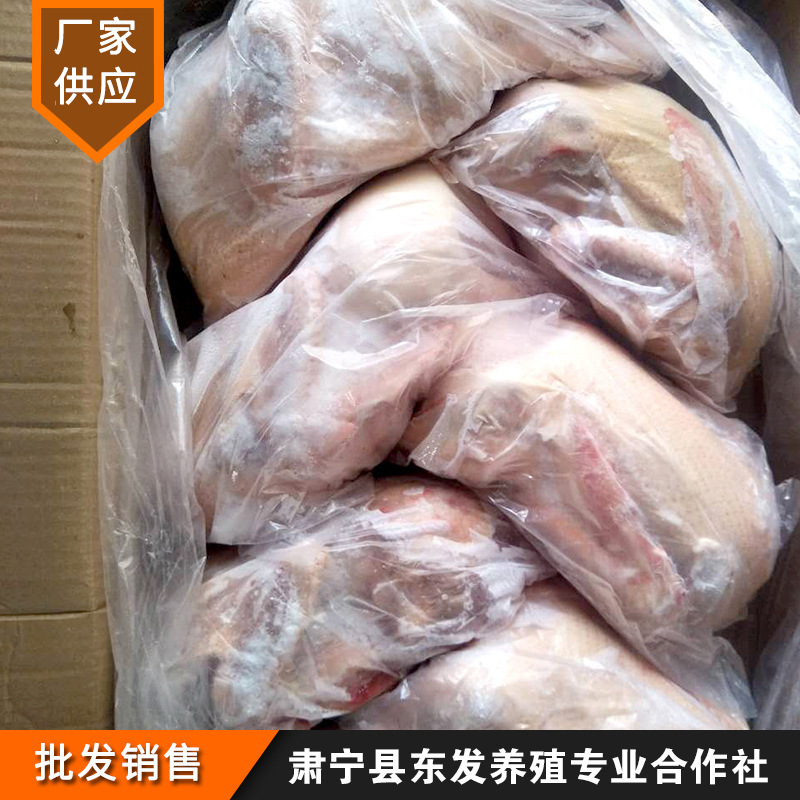 East Hair는 날개와 발톱을 가진 오래된 오리의 도매 라이더를 모든 개별적으로 포장, 신선한, 냉동 오리 제공합니다.