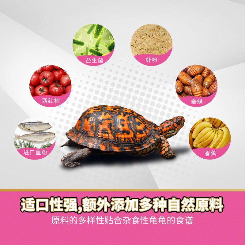 寸金360g箱龟饲料三趾半水龟黄缘龟低蛋白龟粮  工厂