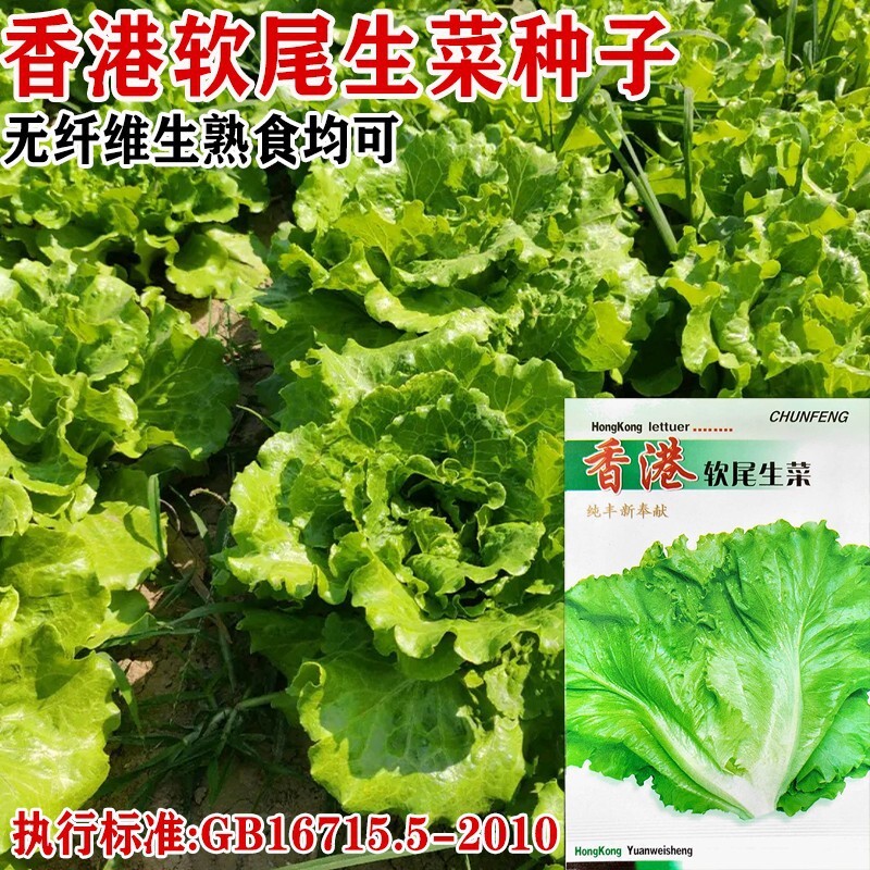 홍콩의 부드러운 종자 및 크림 향수를 보여주는 4 시즌.