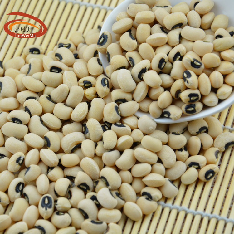 KIM Weimar's black-eyed soybeans, Myanmar's rice soybeans.