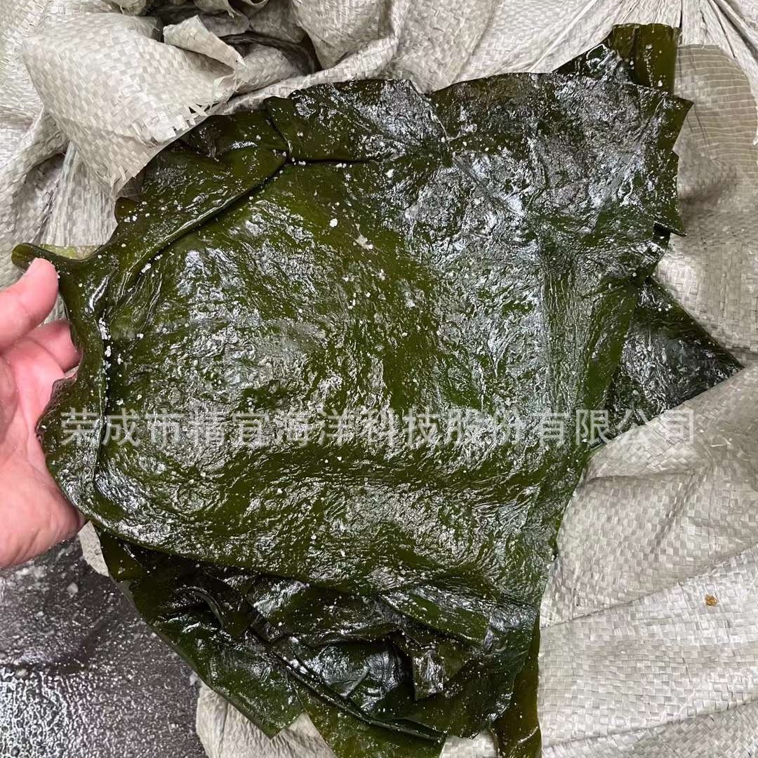 Cung cấp những thùng muối nguyên chất, nửa khô của Quimbutan trong túi 5kg