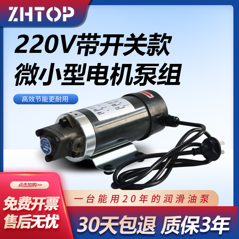 微小型抽油泵直流专用电机油泵齿轮泵机220V 摆线泵厂家直销