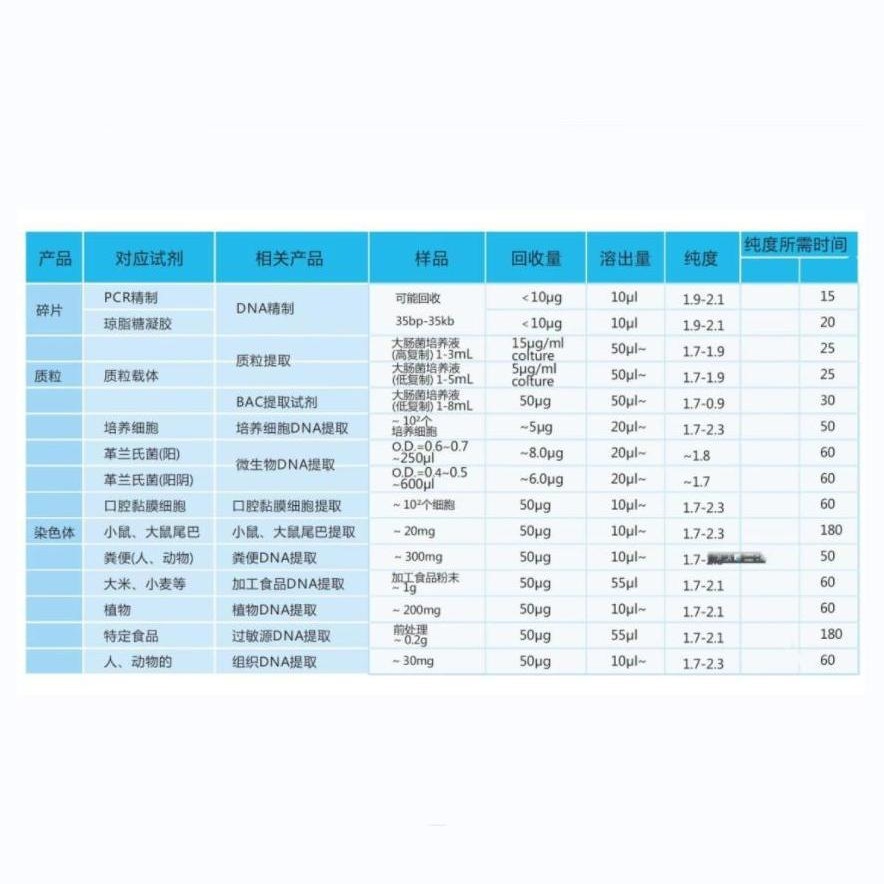 Ida, những người phục vụ cột.