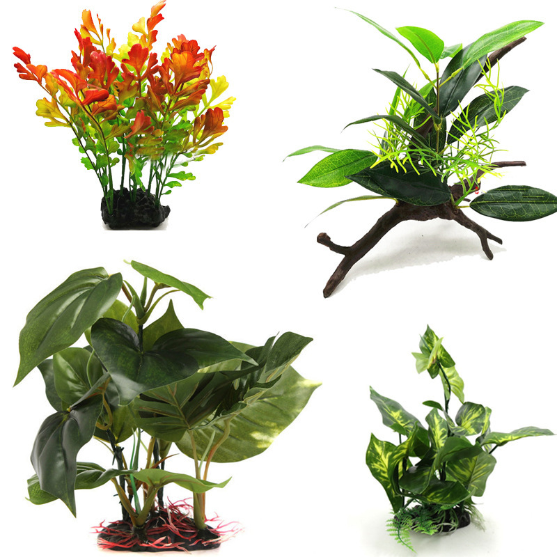 Các nhà máy sản xuất mô phỏng các cây cỏ và những hồ cá phun nước để thưởng cho loài rùa thực vật với dung dịch nước.
